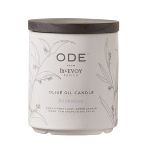 Ode - Olive Oil Candle - Bud Break